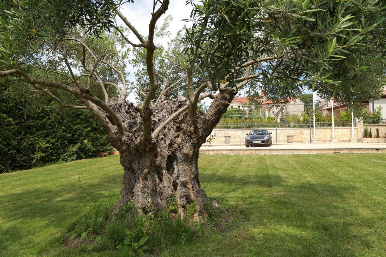 Villa Carolus-Luxurious Istrian Villa Barat (Porec) Exterior foto
